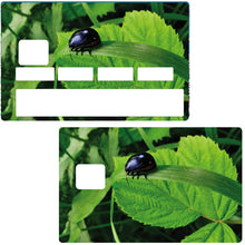 Load image into Gallery viewer, La nature au printemps - sticker pour carte bancaire, 2 formats de carte bancaire disponibles
