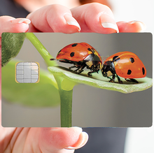 Load image into Gallery viewer, les coccinelles - sticker pour carte bancaire, 2 formats de carte bancaire disponibles
