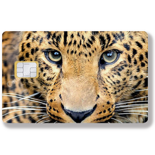Load image into Gallery viewer, Leopard head - Sticker for bank card, available in two sizes.
