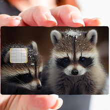 Bild in die Galerie hochladen, Waschbär – Kreditkartenaufkleber, US-Größe