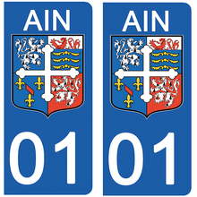 Load the image in the gallery, 01 AIN - Stickers for license plate, available for AUTO and MOTO