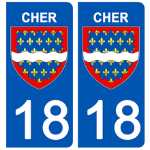 Charger l&#39;image dans la galerie, 18 CHER - Stickers pour plaque d&#39;immatriculation, disponible pour AUTO et MOTO
