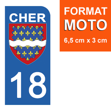 Charger l&#39;image dans la galerie, 18 CHER - Stickers pour plaque d&#39;immatriculation, disponible pour AUTO et MOTO
