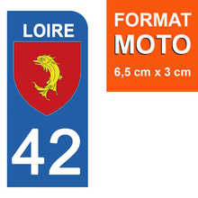 Load the image in the gallery, 42 LOIRE - Stickers for license plate, available for AUTO and MOTO