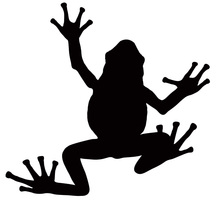 Load the image in the gallery, The frog, available in 10 colors