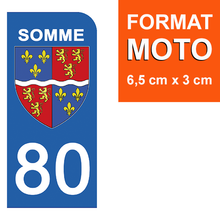Load the image in the gallery, 80 SOMME - Stickers for license plate, available for AUTO and MOTO