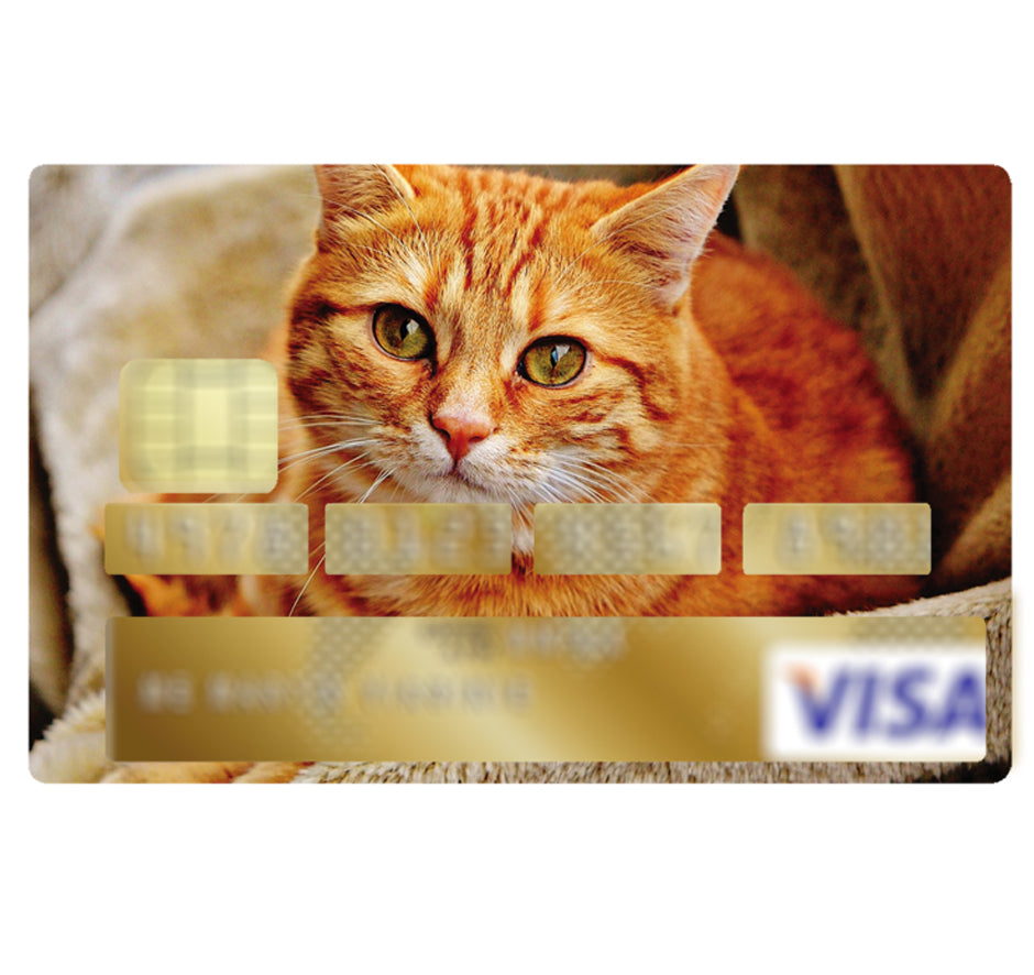 Adesivo per carta di credito Avviso carta di credito nera - TenStickers