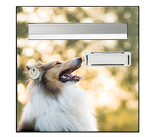 Load the image in the gallery, Sticker for mailbox, collie dog