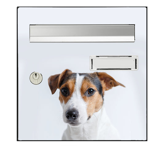 Jack Russel Briefkastenaufkleber