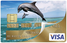 Load the image in the gallery, Les Dauphins - credit card sticker