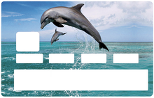 Load the image in the gallery, Les Dauphins - credit card sticker