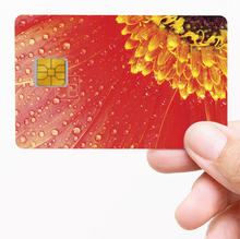 Load the image in the gallery, Marguerite Rouge - credit card sticker
