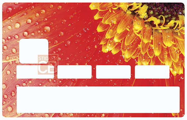 Marguerite Rouge - sticker pour carte bancaire