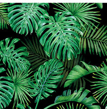 Charger l&#39;image dans la galerie, Plantes tropicales
