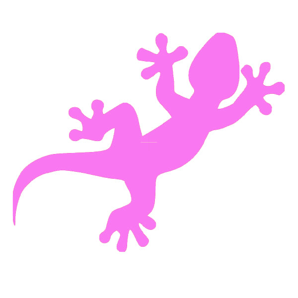 Gecko, disponible en 10 couleurs