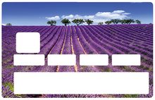 Upload image to gallery, Lavender Fields - credit card sticker