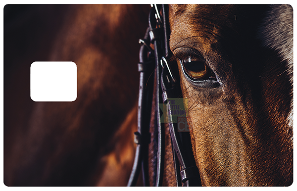 Cheval - Sticker pour carte bancaire, disponible en deux formats ...