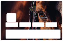 Load the image in the gallery, Horse - sticker for credit card