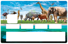 Laden Sie das Bild in die Galerie Land der Tiere - Kreditkartenaufkleber