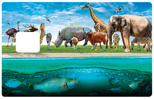 Load the image into the gallery, Land of animals - credit card sticker