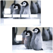 Laden Sie ein Bild in die Galerie hoch, Baby-Pinguine - Kreditkartenaufkleber