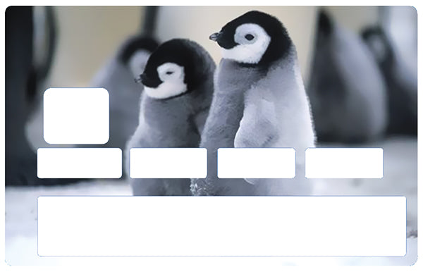 Bébé pingouins- sticker pour carte bancaire