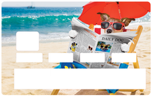 Load the image in the gallery, The dog who reads at the beach - credit card sticker