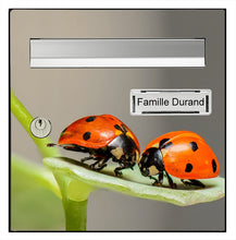 Upload the image to the gallery, Les Coccinelles