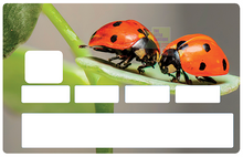 Upload image to gallery, ladybugs - credit card sticker