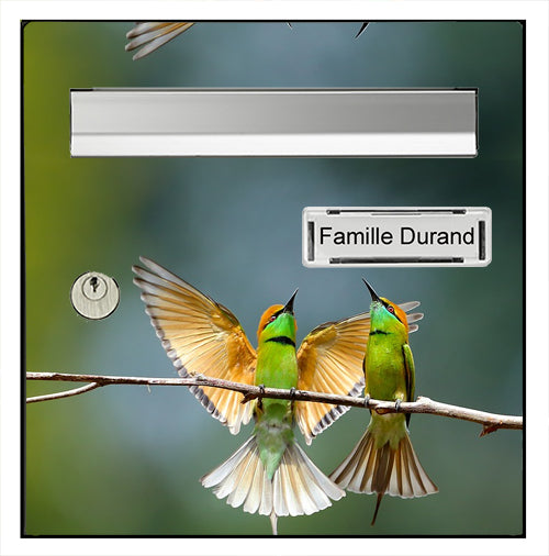 Sticker pour boîte aux lettres, Les Colibris