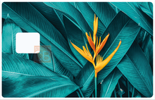 Load the image in the gallery, Blue Leaves - credit card sticker