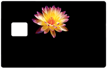 Charger l&#39;image dans la galerie, Fleur feux d&#39;artifice- sticker pour carte bancaire
