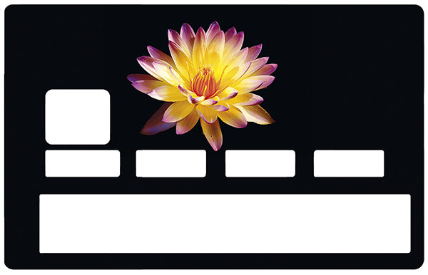 Fleur feux d'artifice- sticker pour carte bancaire