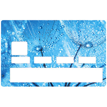 Load the image in the gallery, Flower of frost - sticker for credit card