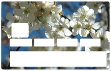 Charger l&#39;image dans la galerie, Les Fleurs de cerisiers - sticker pour carte bancaire

