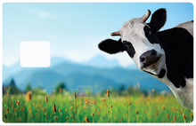 Load the image in the gallery, The Cow - credit card sticker