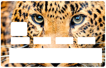 Tête de leopard - sticker pour carte bancaire