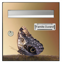 Upload image to gallery, Butterfly