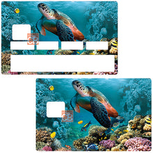 Charger l&#39;image dans la galerie, Tortue Marine - sticker pour carte bancaire
