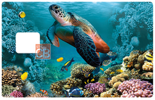 Load the image in the gallery, Marine Turtle - credit card sticker
